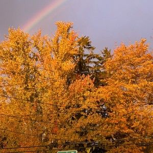 Meet your Posher, Liz